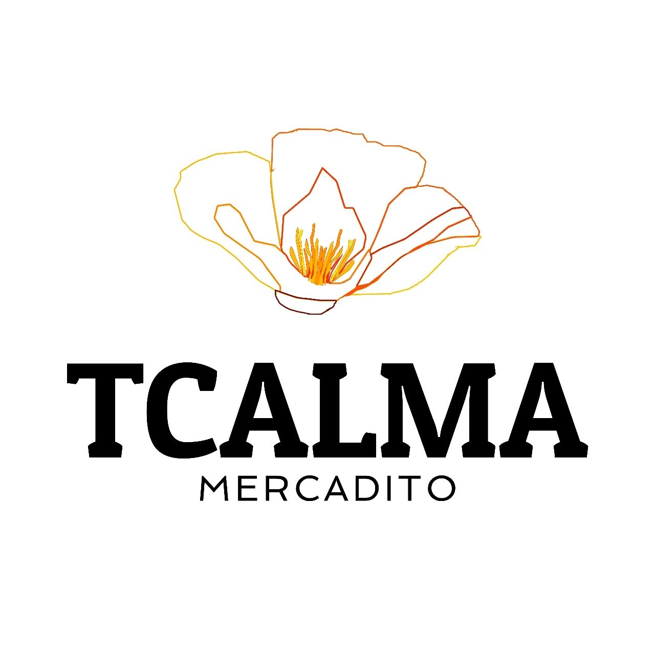 Tcalma Mercadito